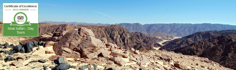 Bedouin safari